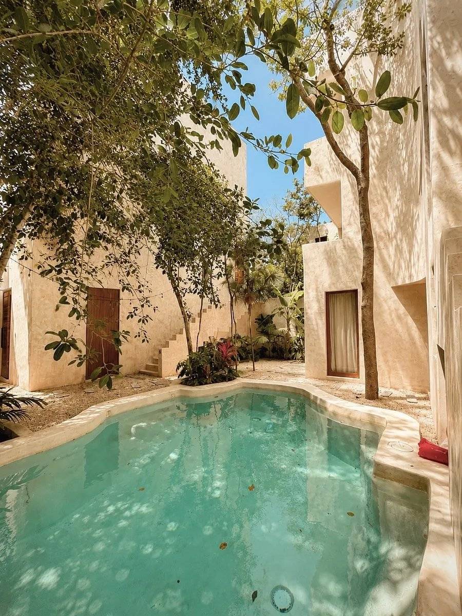 Villa en la selva con piscina en la azotea 2