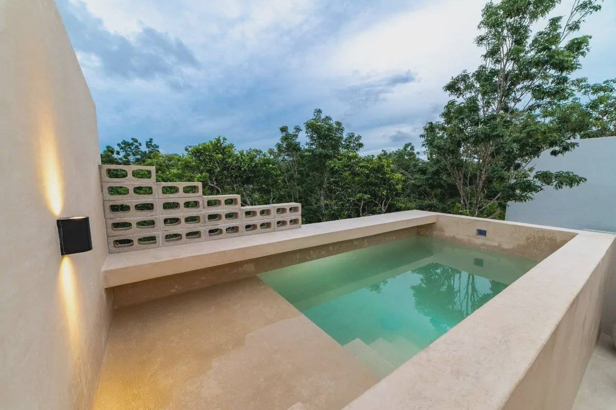Ático exclusivo con piscina y selva privada 3
