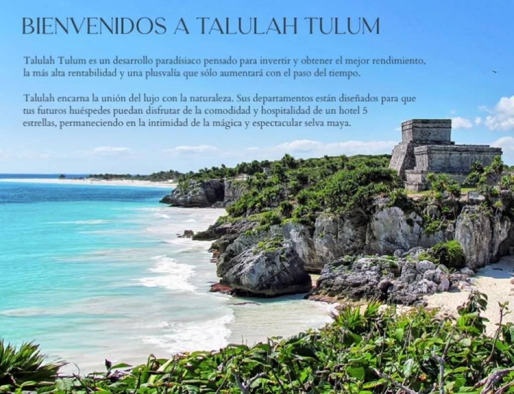Inversión de lujo en la selva maya 3