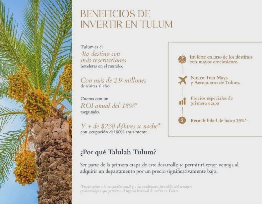 Inversión de lujo en la selva maya 5