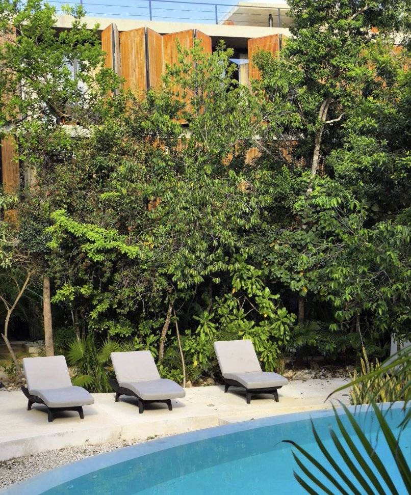 Exclusivo departamento con jacuzzi en Tulum 2