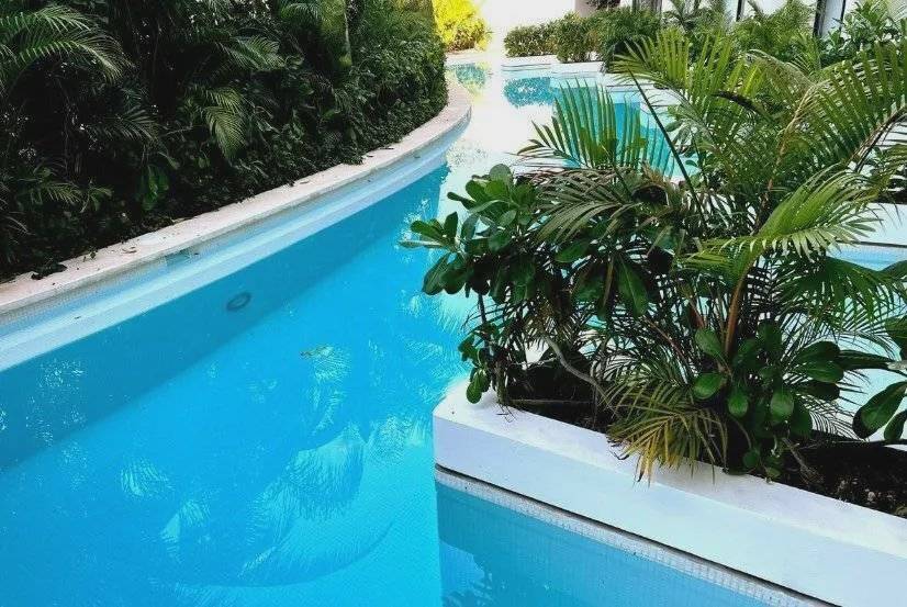Estudio exclusivo con jardín y piscina privada 2
