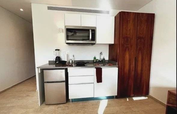 Estudio exclusivo con jardín y piscina privada 4