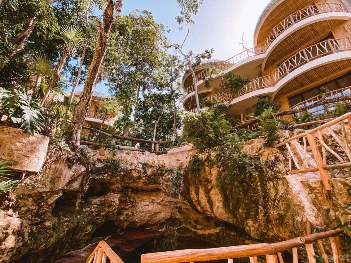 Estudio en Tulum: Naturaleza y lujo al instante 3