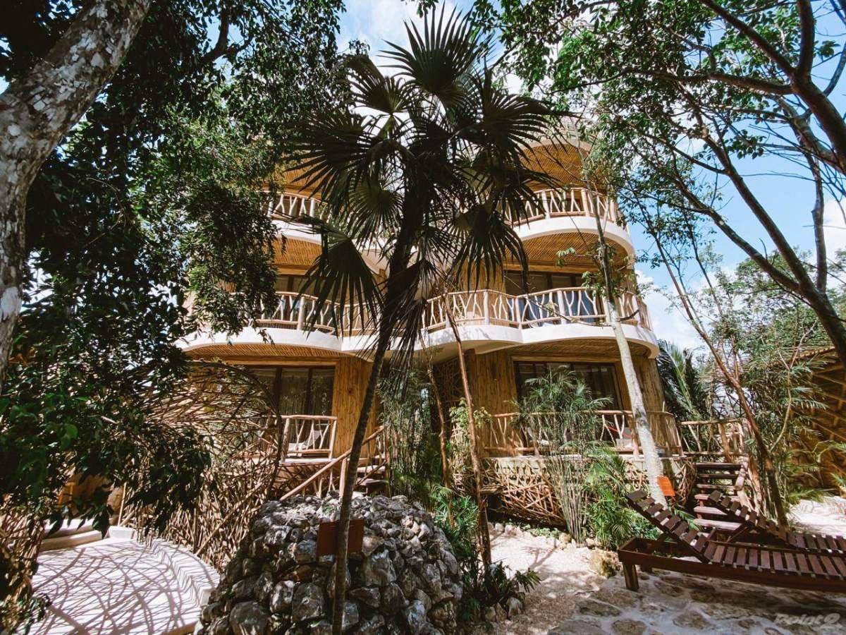 Estudio en Tulum: Naturaleza y lujo al instante 5