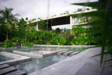 Lujo y Naturaleza en Tulum: ¡Tu Oasis Espera! 3